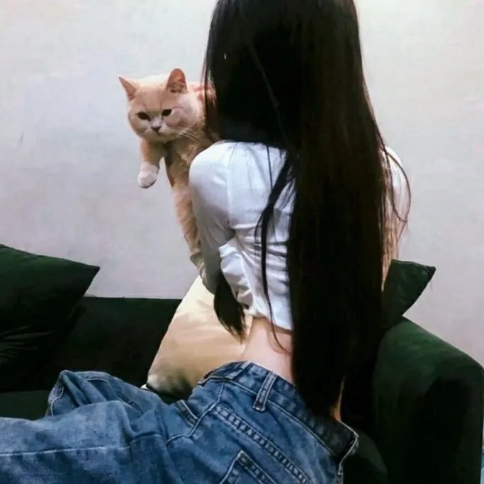 女王鲨在线观看封面